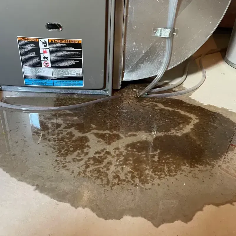 Appliance Leak Cleanup in Willowick, OH